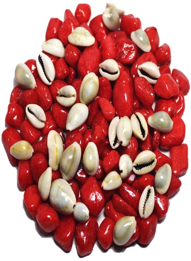 DS1 Red Pebbles Gravels Stone with Cowrie Shell for Aquarium, Table, Vase, Fountain, 350 gm